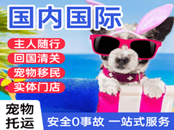 襄阳刘集航空运输国际宠物托运 【国
